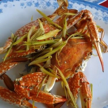 Tổng hợp- Quán Ăn Quán Hải Sản 219