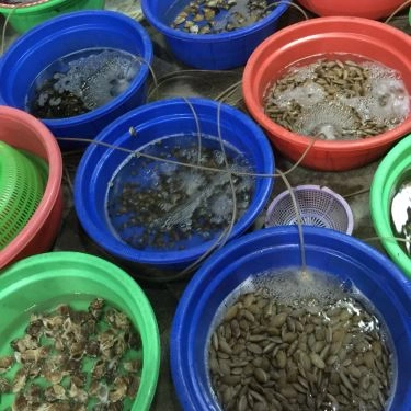 Tổng hợp- Quán Ăn Hải Sản Vân Mập