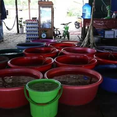 Tổng hợp- Quán Ăn Hải Sản Bình Dương - Bình An