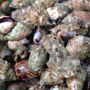 Tổng hợp- Quán Ăn Hải Sản Ghẹ Tuyển