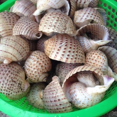 Tổng hợp- Quán Ăn Hải Sản Ghẹ Tuyển
