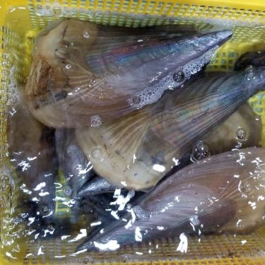 Tổng hợp- Quán Ăn Làng Chài Tháp Bà - Hải Sản Tươi Sống