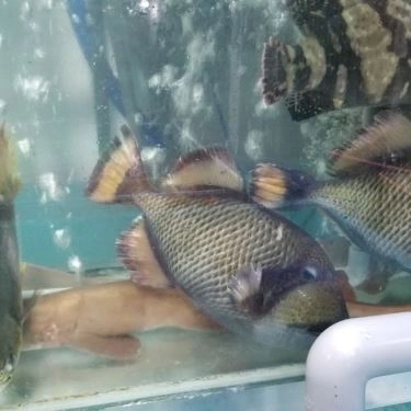 Tổng hợp- Quán Ăn Làng Chài Tháp Bà - Hải Sản Tươi Sống
