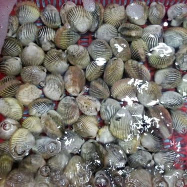 Tổng hợp- Quán Ăn Làng Chài Tháp Bà - Hải Sản Tươi Sống