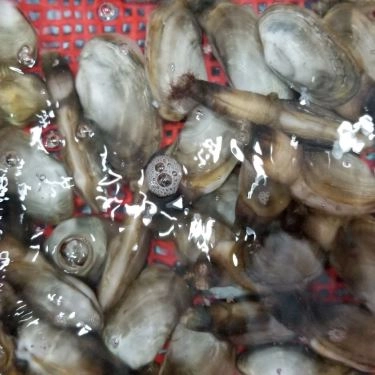 Tổng hợp- Quán Ăn Làng Chài Tháp Bà - Hải Sản Tươi Sống