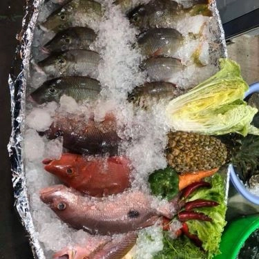 Tổng hợp- Quán Ăn Làng Chài Tháp Bà - Hải Sản Tươi Sống
