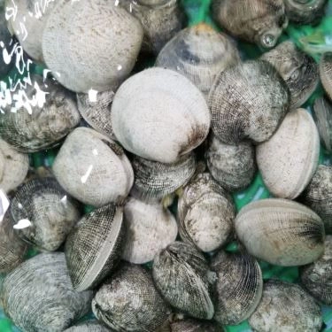 Tổng hợp- Quán Ăn Làng Chài Tháp Bà - Hải Sản Tươi Sống