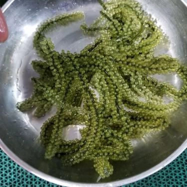 Tổng hợp- Quán Ăn Làng Chài Tháp Bà - Hải Sản Tươi Sống