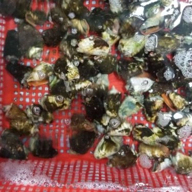 Tổng hợp- Quán Ăn Làng Chài Tháp Bà - Hải Sản Tươi Sống