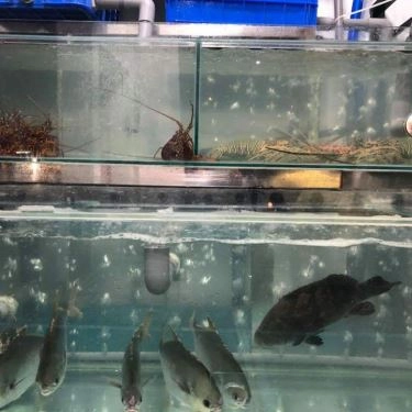 Tổng hợp- Quán Ăn Làng Chài Tháp Bà - Hải Sản Tươi Sống