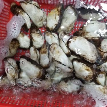 Tổng hợp- Quán Ăn Làng Chài Tháp Bà - Hải Sản Tươi Sống