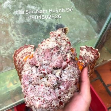 Tổng hợp- Quán Ăn Nam Huỳnh Đế - Quán Hải Sản