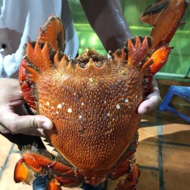 Món ăn- Quán Ăn Nam Huỳnh Đế - Quán Hải Sản