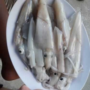 Tổng hợp- Quán Ăn Thầy Nhu - Hải Sản & Các Món Nhậu Bình Dân