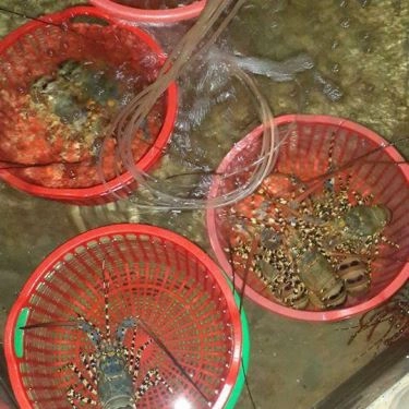Tổng hợp- Quán Ăn Quán Hải Sản Thủy Triều Cam Ranh