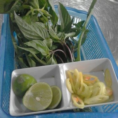 Tổng hợp- Quán Ăn Quán Hoa - Phở Bò & Gà