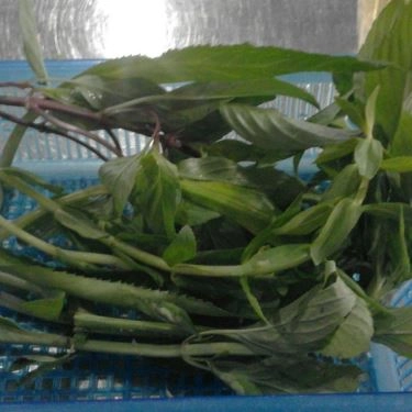Tổng hợp- Quán Ăn Quán Hoa - Phở Bò & Gà