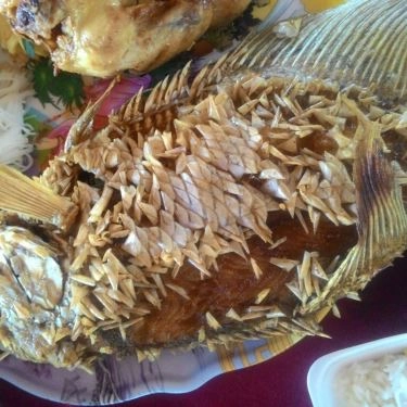 Tổng hợp- Nhà Hàng Quán Hoa Phượng - Sân Vườn Ven Đô