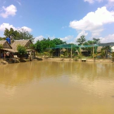 Tổng hợp- Nhà Hàng Quán Hoa Phượng - Sân Vườn Ven Đô