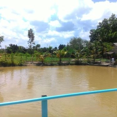 Tổng hợp- Nhà Hàng Quán Hoa Phượng - Sân Vườn Ven Đô