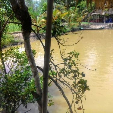 Tổng hợp- Nhà Hàng Quán Hoa Phượng - Sân Vườn Ven Đô