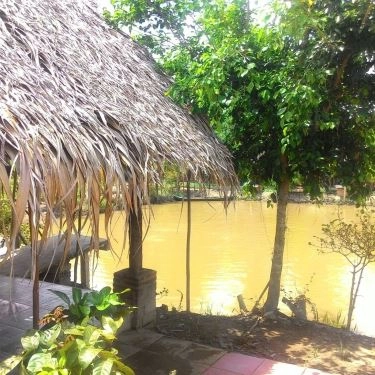 Tổng hợp- Nhà Hàng Quán Hoa Phượng - Sân Vườn Ven Đô