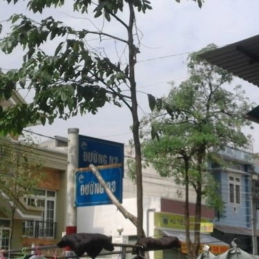 Tổng hợp- Quán Ăn Hủ Tiếu Sa Đéc