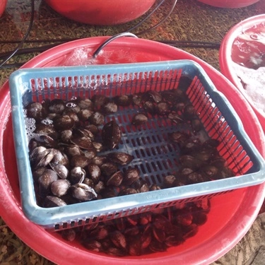 Tất cả hình- Quán Ăn Hùng Mập - Gà Đèo Le & Hải Sản