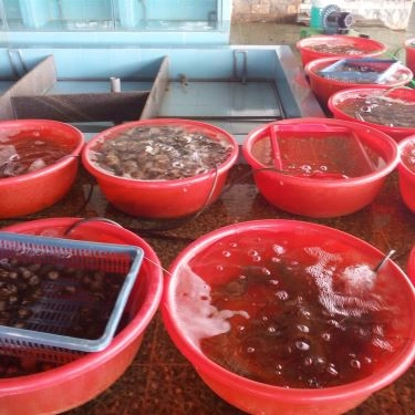 Tất cả hình- Quán Ăn Hùng Mập - Gà Đèo Le & Hải Sản