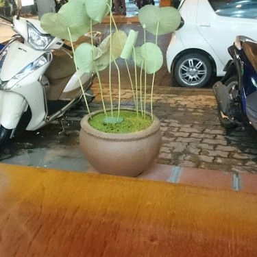 Tổng hợp- Quán Ăn Quán Kinh Bắc - Lẩu Riêu Cua