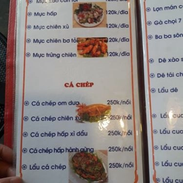 Tổng hợp- Quán Ăn Quán Lá - Bia Hơi & Ẩm Thực Việt