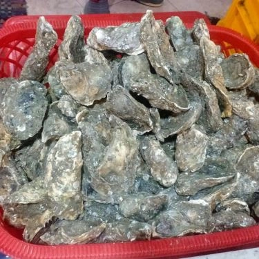 Tổng hợp- Quán Ăn Quán Lan Chi - Tháp Bà