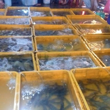 Tổng hợp- Quán Ăn Quán Lan Chi - Tháp Bà