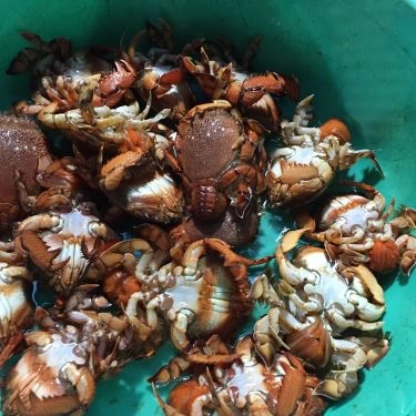 Tổng hợp- Quán Ăn Quán Lan Chi - Tháp Bà