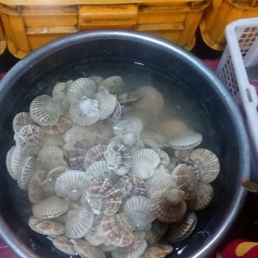 Tổng hợp- Quán Ăn Quán Lan Chi - Tháp Bà