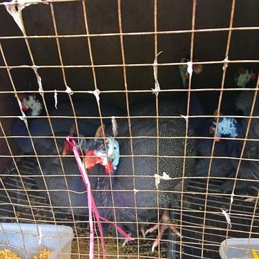 Tổng hợp- Quán Ăn Làng Quê - Các Món Ăn Đặc Sản