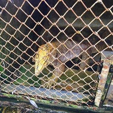 Tổng hợp- Quán Ăn Làng Quê - Các Món Ăn Đặc Sản