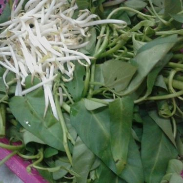 Tổng hợp- Quán Ăn Lẩu Gật Gù - Trương Định
