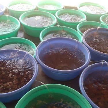 Tổng hợp- Quán Ăn Nhà Bè Long Hương