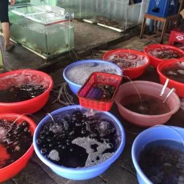 Tổng hợp- Quán Ăn Quán Lys - Hải Sản Tươi Sống