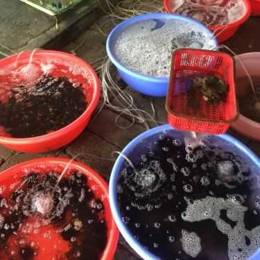 Tổng hợp- Quán Ăn Quán Lys - Hải Sản Tươi Sống