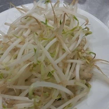 Tổng hợp- Quán Ăn Quán Mì Bảo Bảo