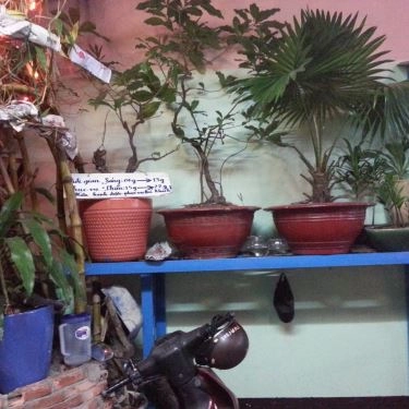 Tổng hợp- Quán Ăn Quán Mì Quảng Sâm