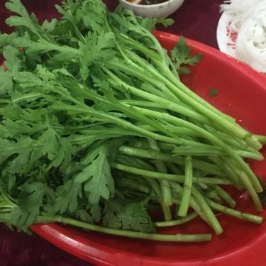 Tổng hợp- Quán Ăn Quán Minh - Lẩu Bò Dê Trương Định