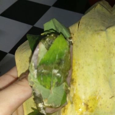 Tổng hợp- Quán Ăn Quán Nem Ninh Hòa - Bàu Cát