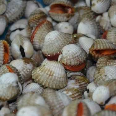 Tổng hợp- Quán Ăn Quán Ngân Hà - Hải Sản Tươi Sống