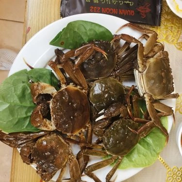 Tổng hợp- Quán Ăn Quán Ngon 232 - Cá & Các Món Nhậu