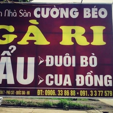 Tổng hợp- Quán Ăn Quán Nhà Sàn Cường Béo - Gà Ri Lẩu Đuôi Bò