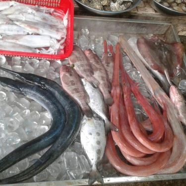 Tổng hợp- Quán Ăn Quán Nhậu Mỹ Liên