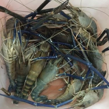 Món ăn- Quán Ăn Quán Nhậu Ngọc Mai - Thanh Đa